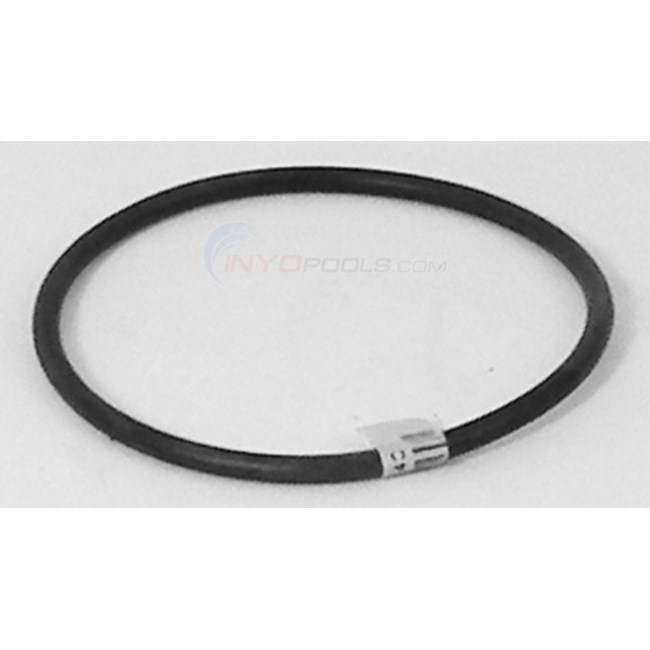 Parco O-ring, Lid 4 In (346)