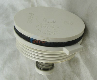 Pentair Hydrostatic Relief Valve (070170151)