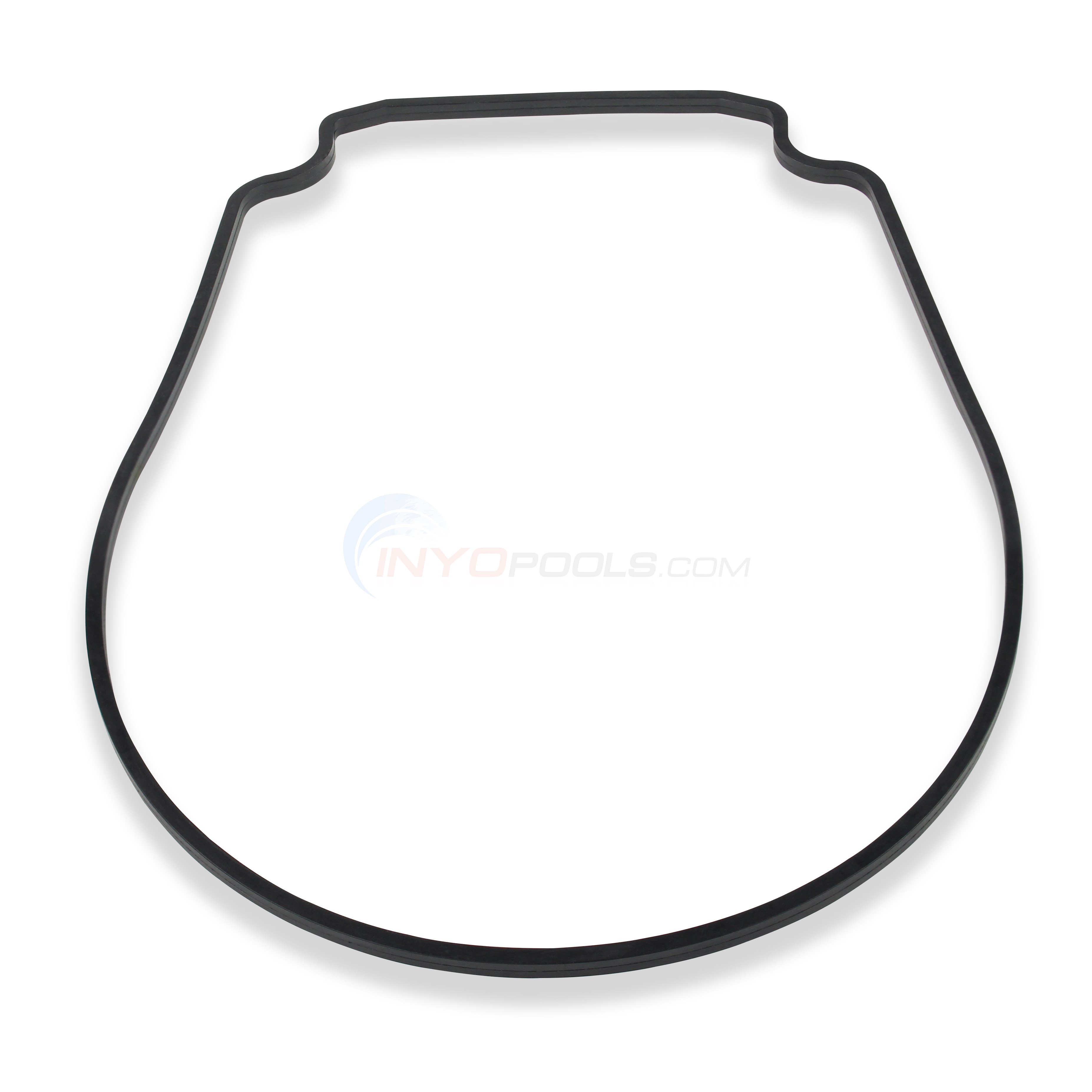 Seal Plate Gasket, Fits Pentair Pumps - 357100