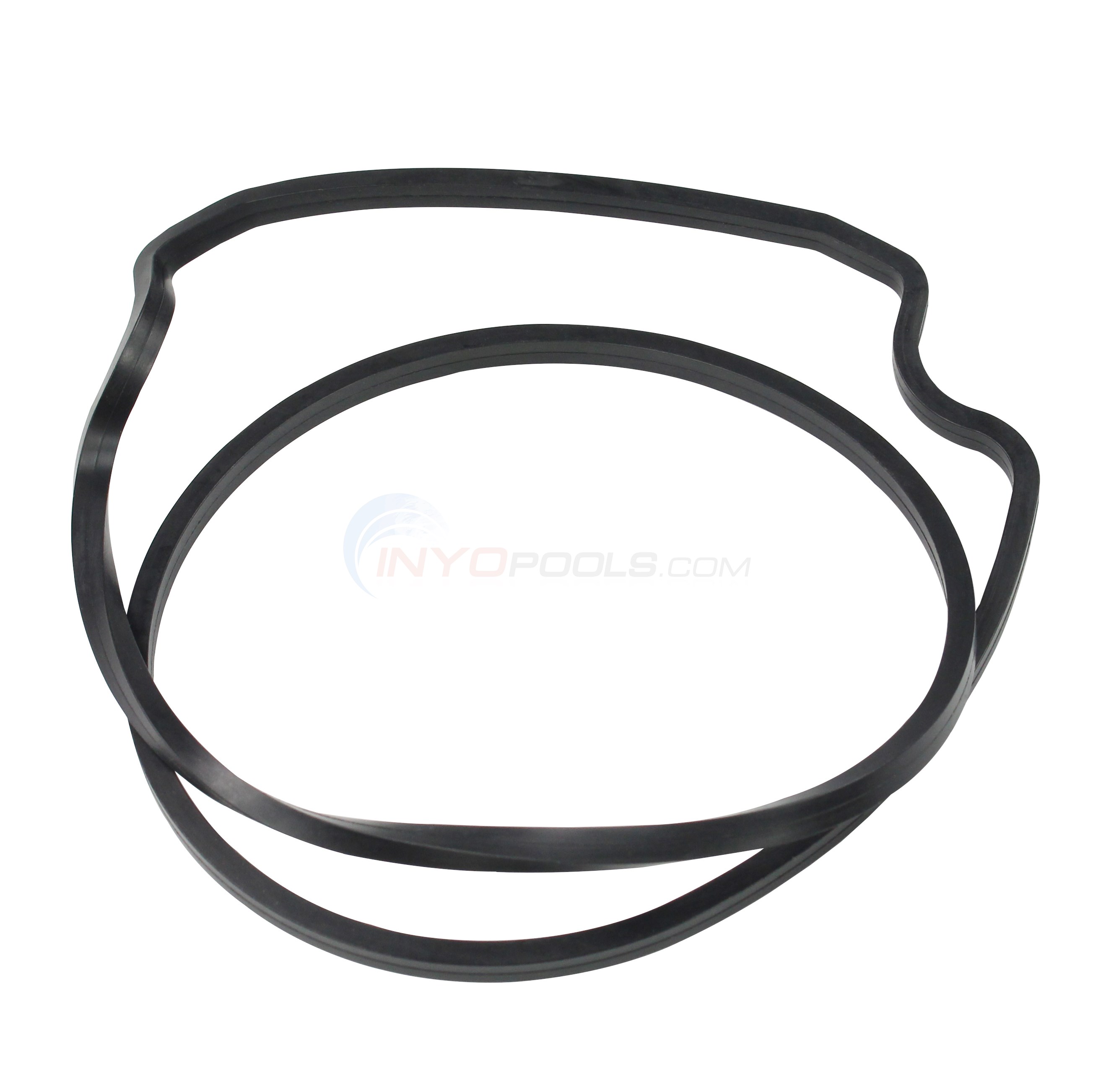 Seal Plate Gasket, Fits Pentair Pumps - 357100
