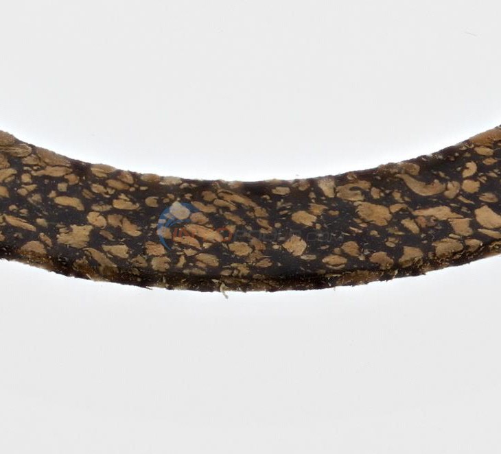 Pentair Gasket (33455-8046) - INYOPools.com