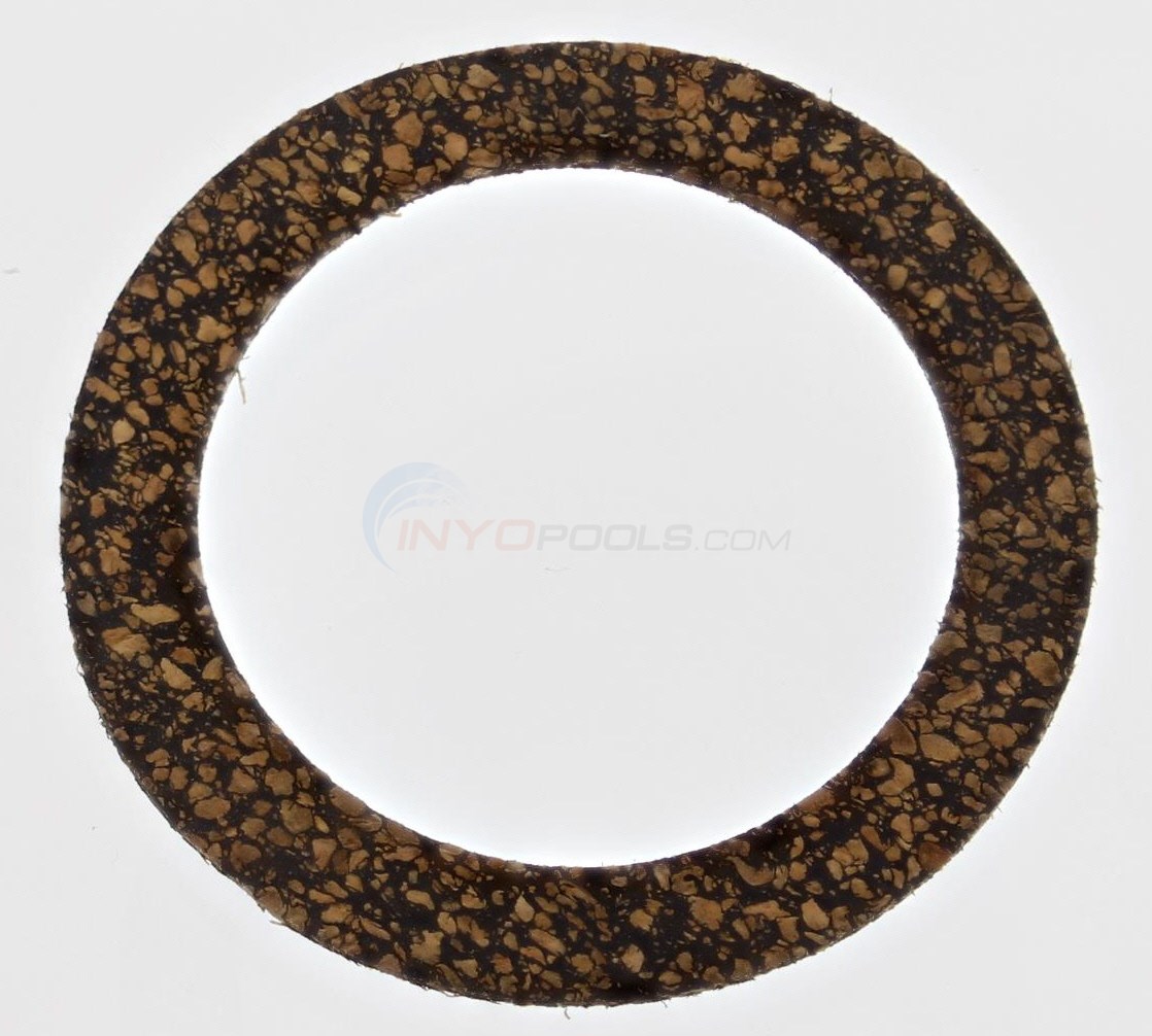 Pentair Gasket (33455-8046) - INYOPools.com