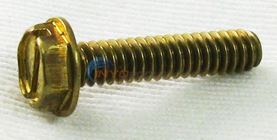 Pentair Screw, Hexhead (98215400)
