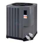 Raypak Standard 110K BTU Heat Pump W/ Chiller - 013309 ...