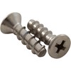 Screw, Face Plate (set Of 2)