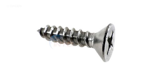 Pentair Screw, Flathead #12 X 1in (552472)