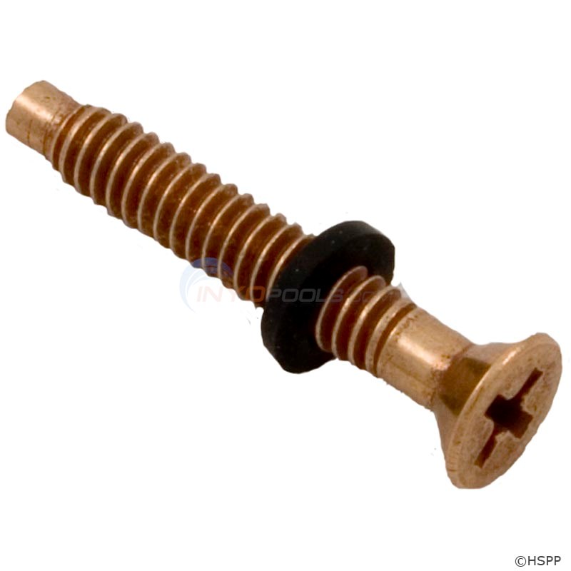 Pentair Screw, Locking W/ Gum Washer - 79104800 Brass Screw