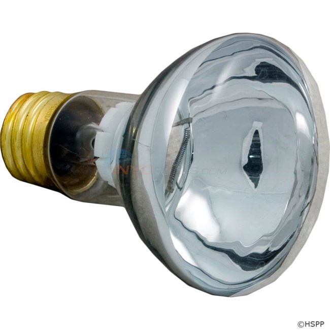 Bulb 100w 12v R20 Sb (79108100)