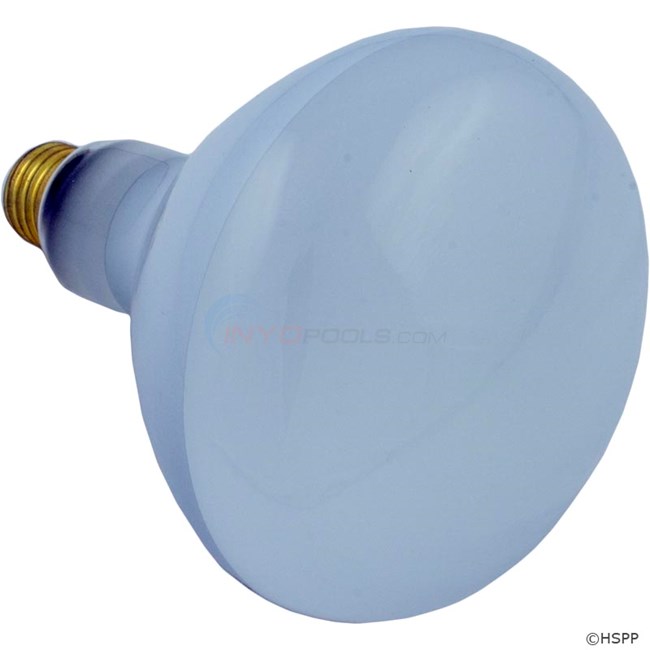 Light Bulb, Flood Lamp, 400W, 120V (R40FL400/HG)