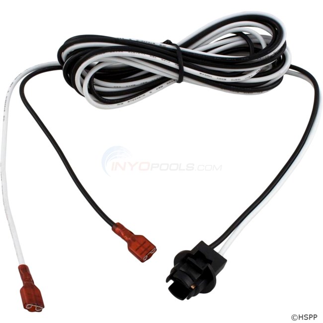 Cable w/Light Socket, 8', SSPA-MSPA-1-4-TSPA (9920-400178)