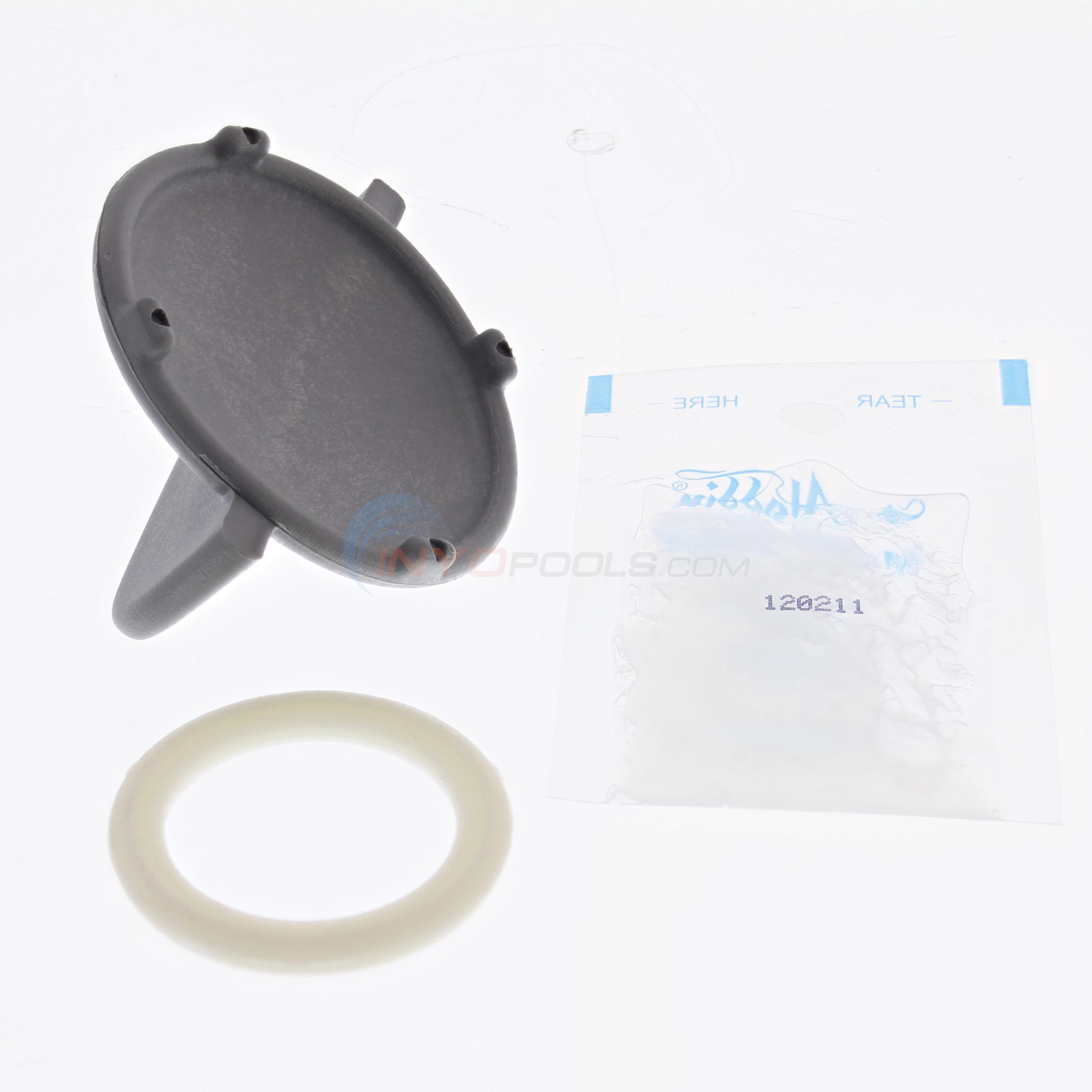 Pentair GloBrite Oring Replacement Kit 620057