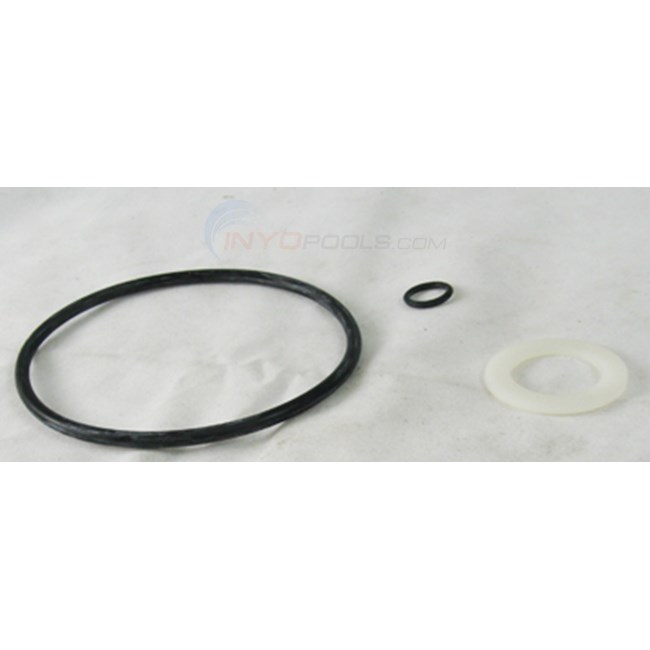 Zodiac Gasket, Bypass Assembly (r0336700) Discontinued