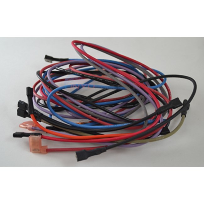 Hayward Wire Harness Assembly Mv Dual T'stat (hmxwha2932)
