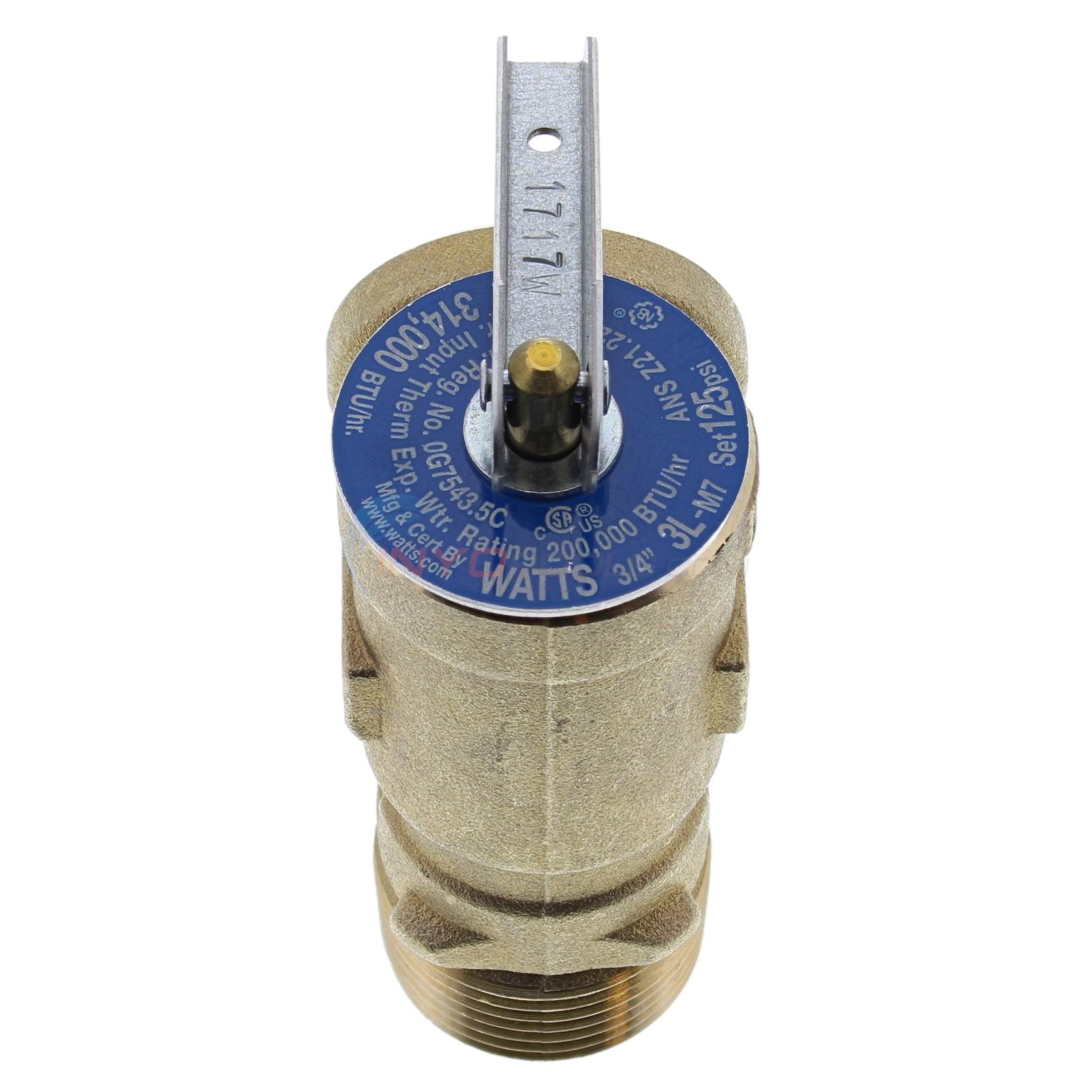 Raypak Valve, Pressure Relief 125 Psi (008091f)
