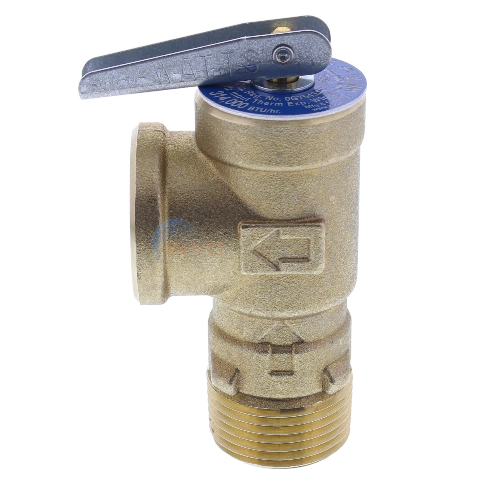 Raypak Valve, Pressure Relief 125 Psi (008091f)