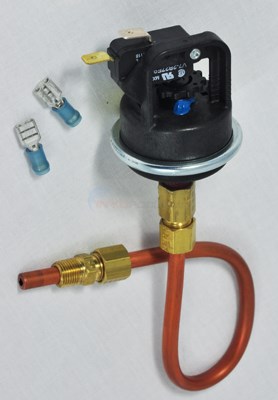 Raypak Pressure Switch (003651f)