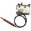 Coates Heater Co. High Limit Switch (22003820)
