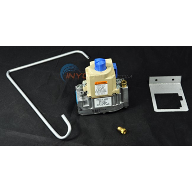 Pentair Gas Valve Rep. Kit 150 Lp Iid (075176)