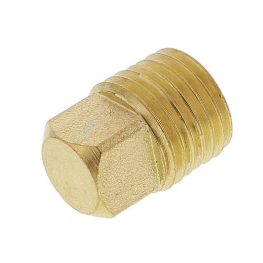 H-Series 1/4" NPT Brass Plug