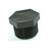 PLUG, PIPE, POLY, 3/4IN (3F34)
