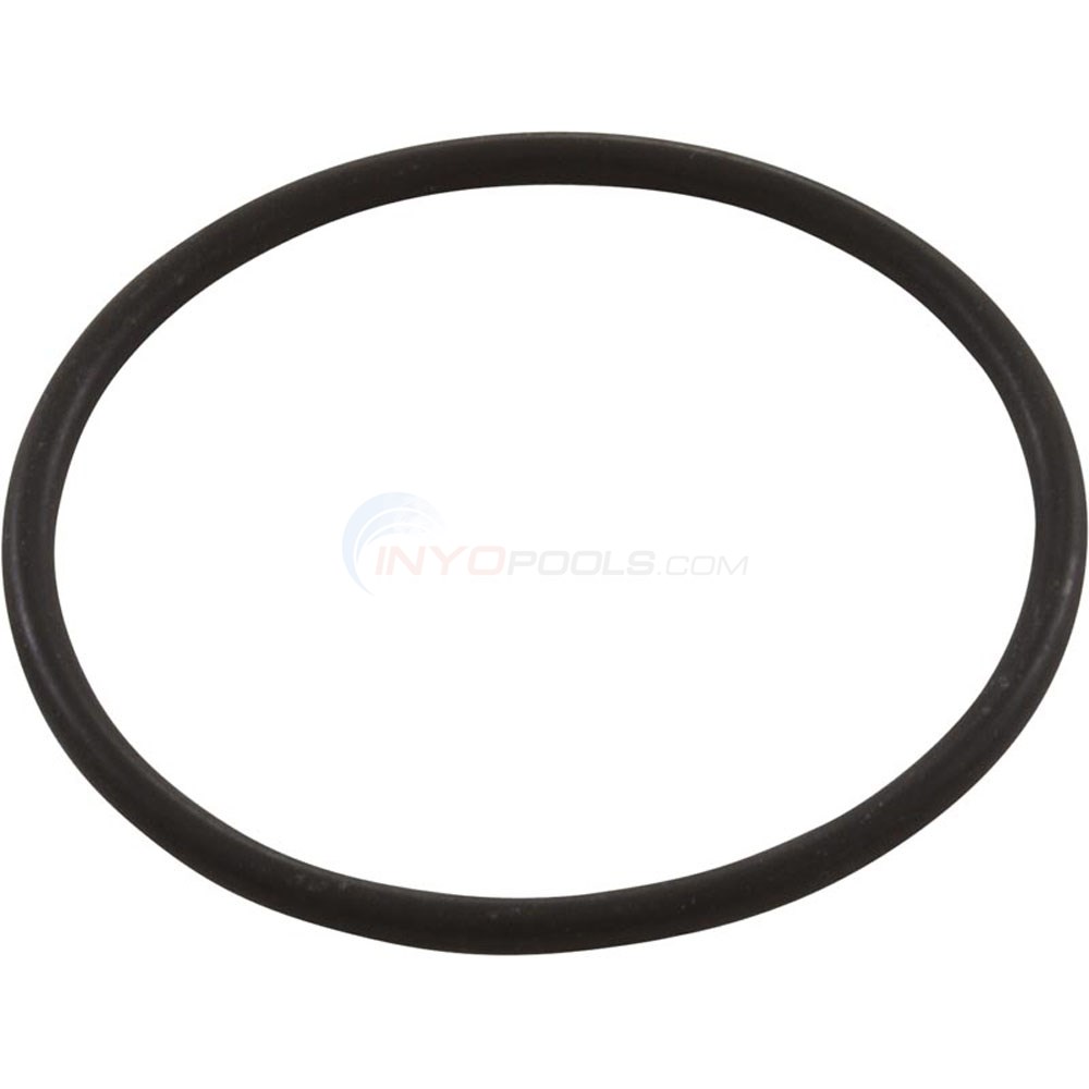 7731520035 Astral Astra Max Pump Housing O'ring Replacement 