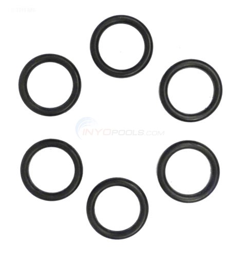 Sta-Rite Coil/tube Sheet Sealing O-ring Kit (77707-0117) - INYOPools.com