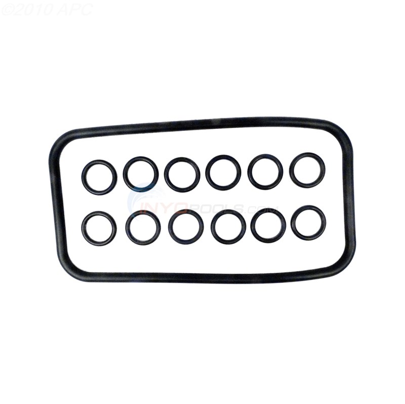 O-ring Kit (42002-0025s)