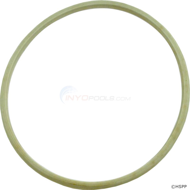 Pool Net Skimmer PoolSupplyTown Leaf Canister Replacement - Fits