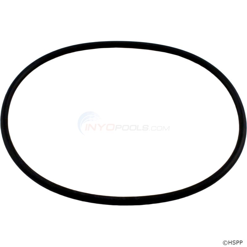 Leaf Canister O-ring