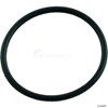 O-RING, IN-LINE FILTER