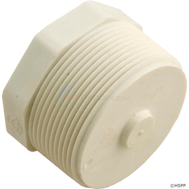 Plug, 2" Mpt (450-020)