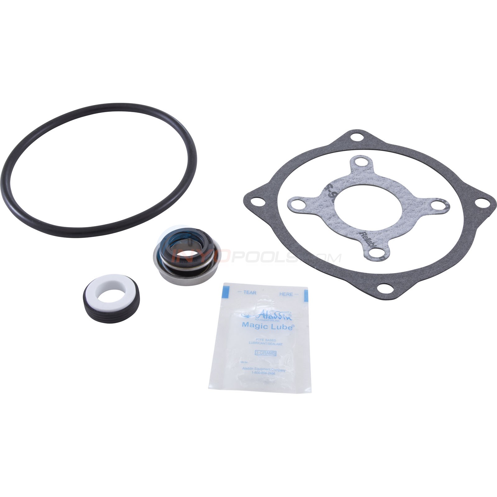 Tune Up Kit - Aqua Flo A-Series Pump