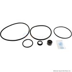 Sta-Rite Dyna-Glas and Dyna-Max Pump Seal Kit - Model GOKIT47