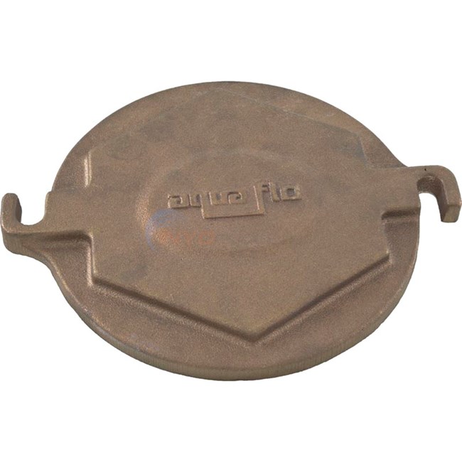 Val-Pak Products Lid, Trap 6" Brass - 91230050