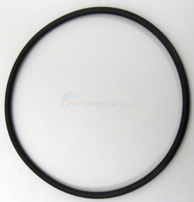 O-RING, 2" UNION (7404-03)
