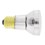 Pentair Bulb, Floodlamp 60w-120v (R20fl100) - 79108000