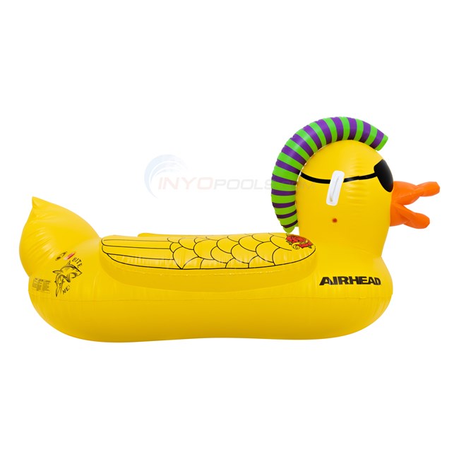 Airhead Pool Float - Punk Duck - AHPF-3019