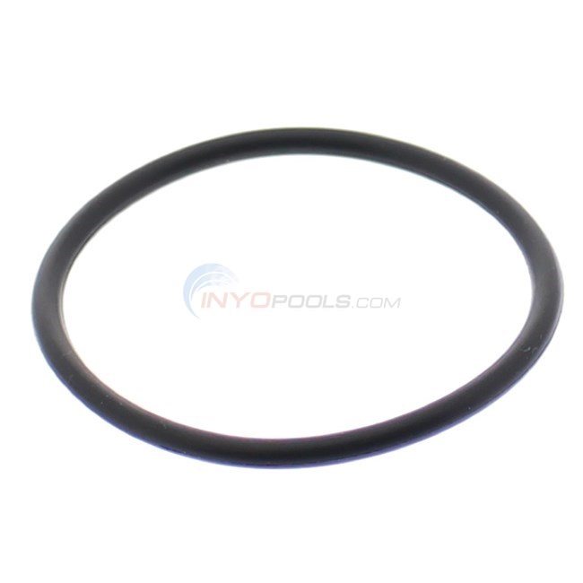 Strainer Housing Flange O-Ring