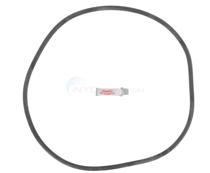 Sta-Rite DES25 O-Ring Kit