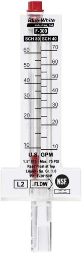 Blue-White F-30300P Flowmeter 3", Top Mount, 45-240 GPM, Made in USA