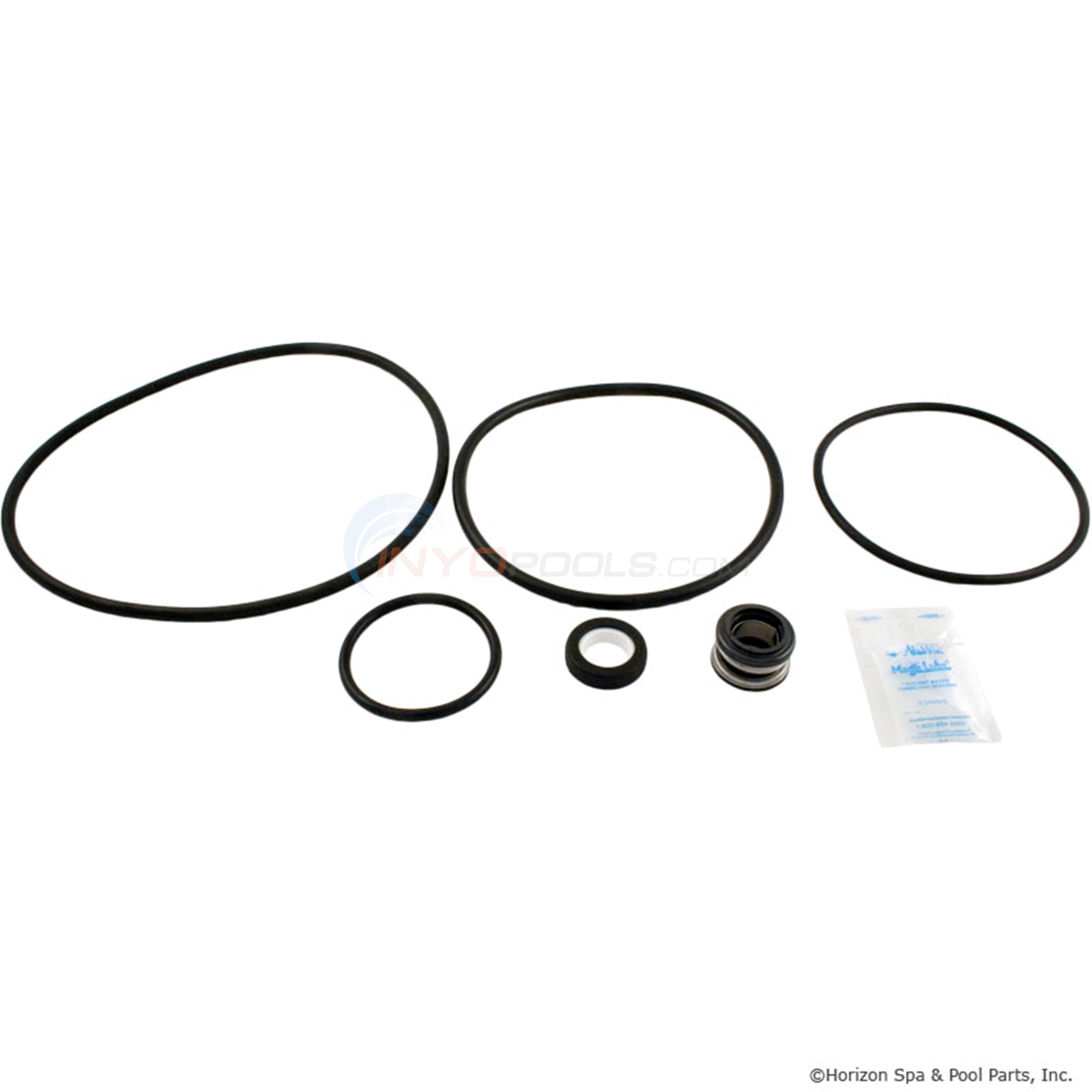 Sta-Rite Dyna-Glas and Dyna-Max Saltwater Pump Seal Kit | By Pureline | GOKIT47SALT