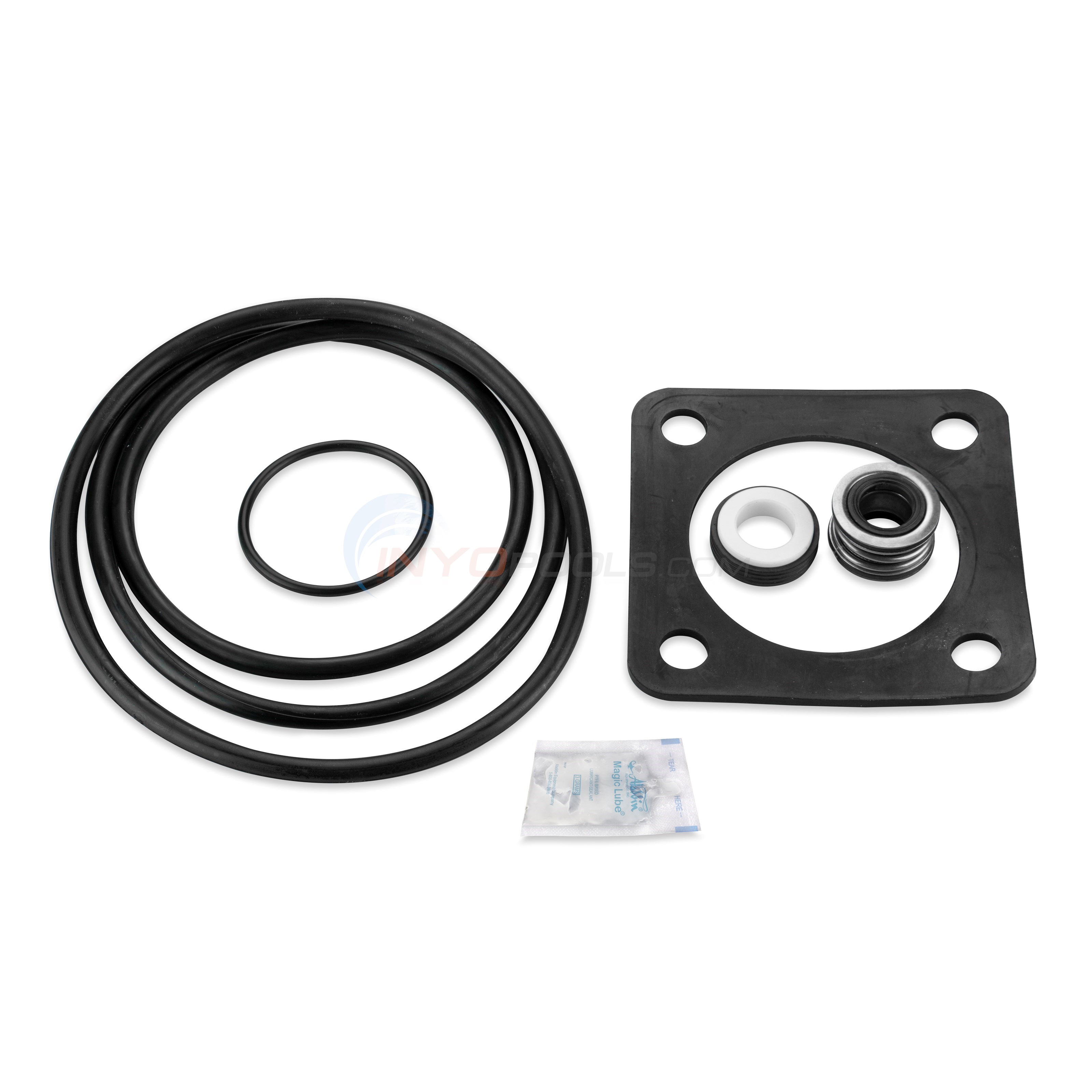 Pureline Saltwater Tune Up Kit Sta-Rite Dura-Glas & Max-E-Glas Pump 1998 To Present - GOKIT54SALT