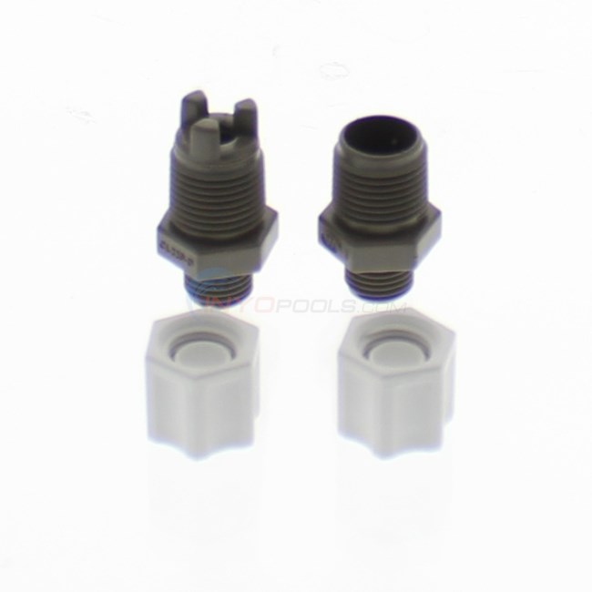 Hayward Check Valve Inlet Fitting Assembly - CLX220EA
