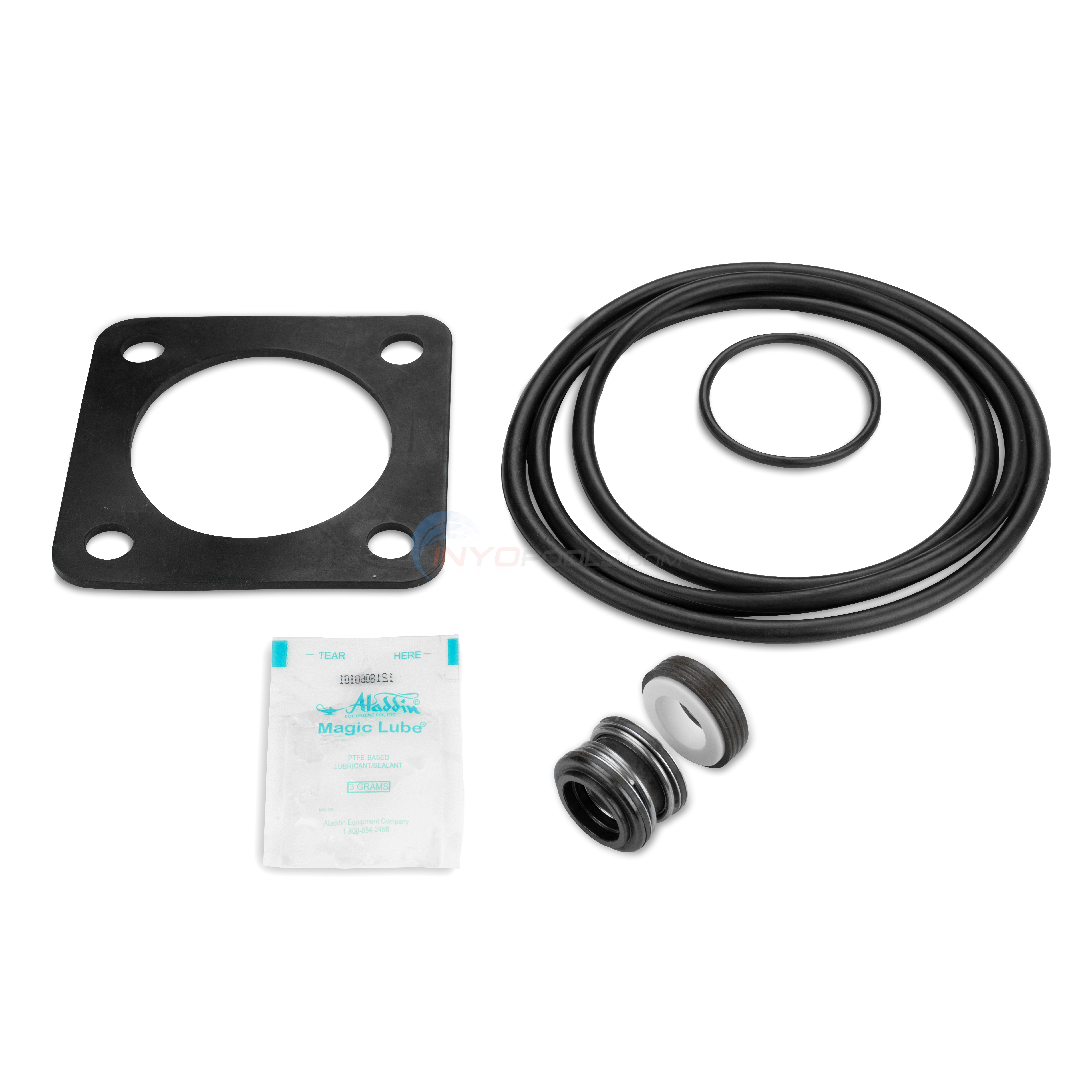 StaRite DuraGlas Pool Pump VS Motor Upgrade Kit 1.65HP