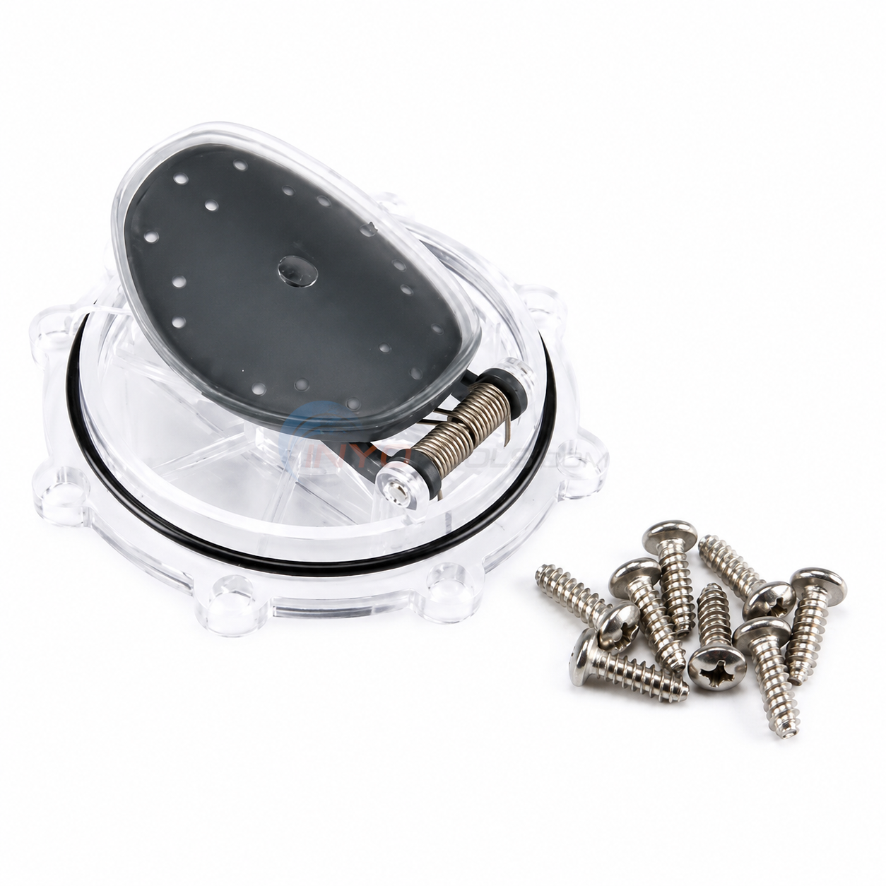 Pentair CPVC 2" 2-Way Pool and Spa Check Valve Diverter Replacement Kit - 263042Z