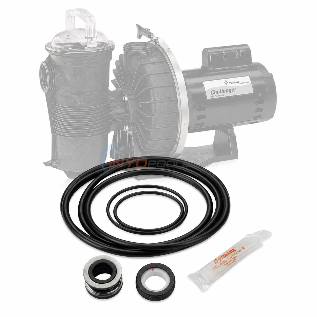 Pentair Challenger CHII Series Pool Pump Seal Kit | By Pureline | GOKIT5