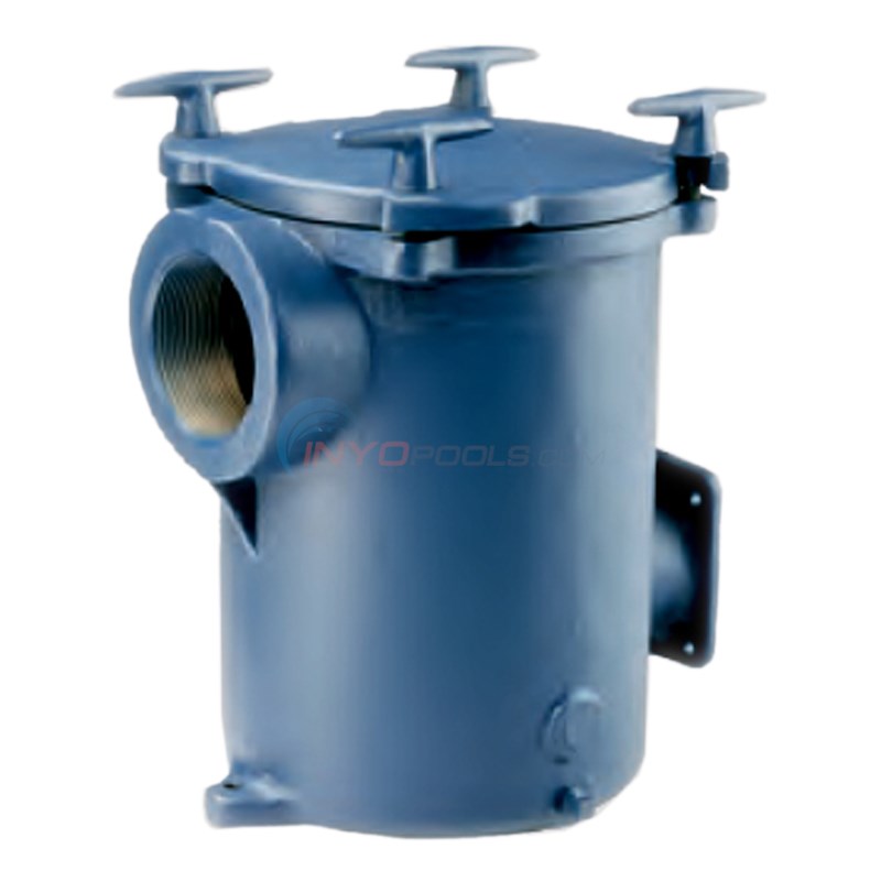 Pentair Trap, Hair & Lint 8"cast Iron PKG 98