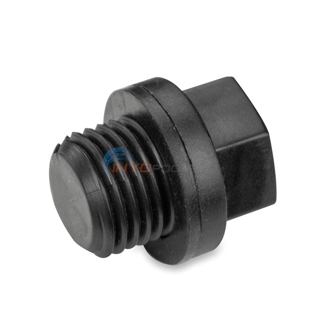 Drain Plug 1/4" w/ Gasket for Hayward Pumps - SPX1700FG