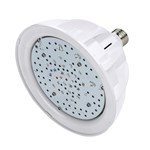 Replacement Light for Pools and Spas: LED, Halogen, Flood ...