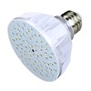 Pureline LED Spa Light Bulb, Color Changing, 120 Volts, 6 Watts - PL5887